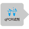 RNA提取