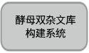 酵母双杂文库构建系统